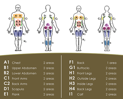 areas that can undergo Liposuction