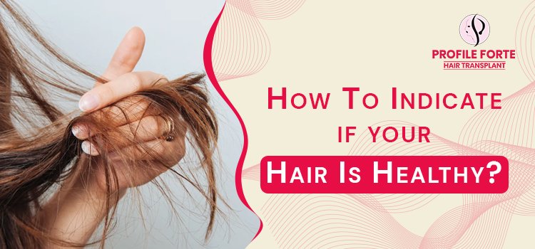 How To Indicate If Your Hair Is Healthy